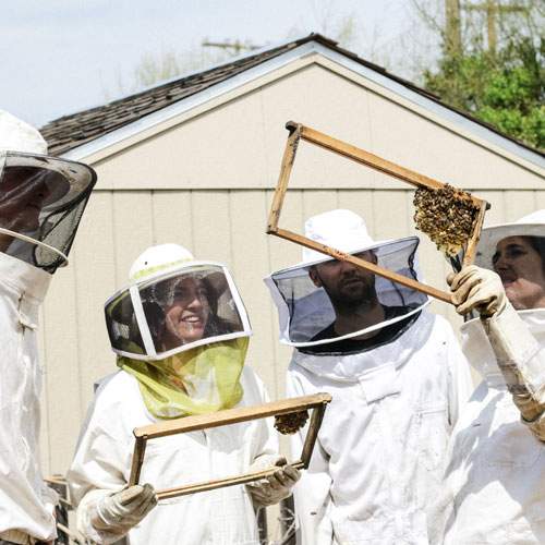 corso apicoltura