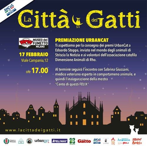 città dei gatti