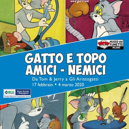 città dei gatti