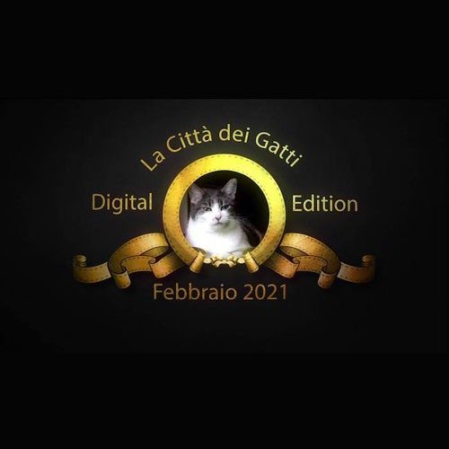 città dei gatti