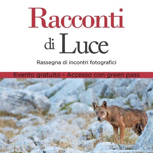 racconti di luce