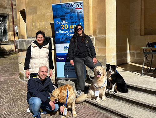 amici quattro zampe progetto ancos
