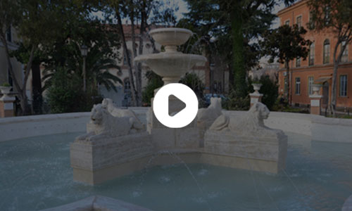 video celio fontana dei leoni