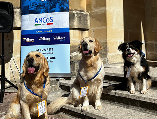 cinofilia educare cane