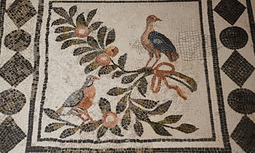 particolare mosaico romani dopo il restauro