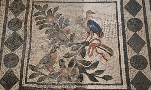 particolare mosaico romani prima restauro